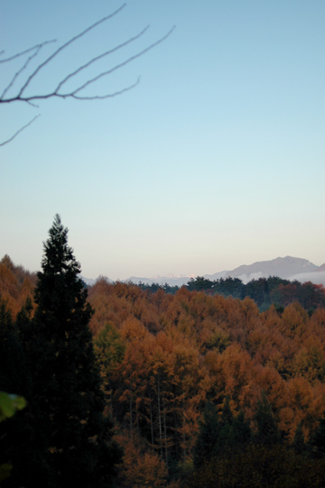 d0008146_23532594.jpg