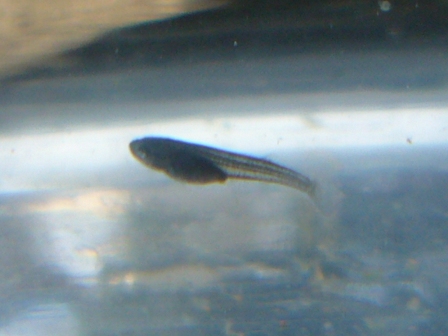e0150446_05373.jpg