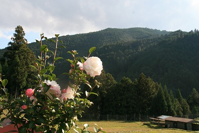 a0054948_011615.jpg
