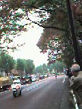 d0036951_14505945.jpg