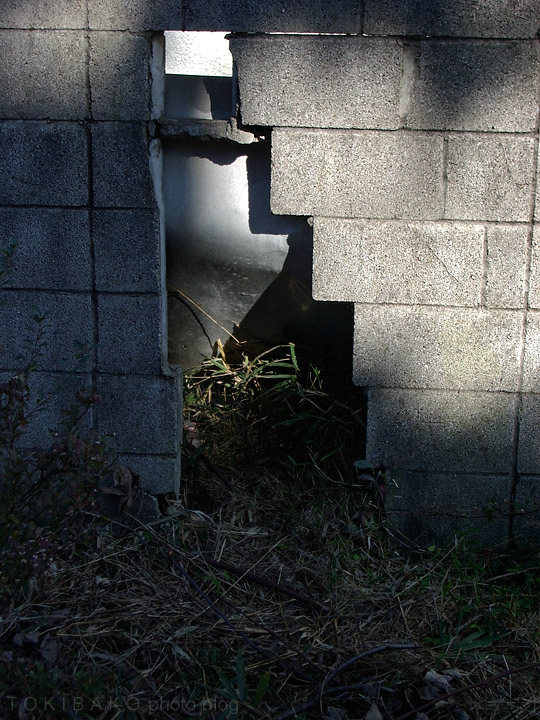 d0100156_23384891.jpg