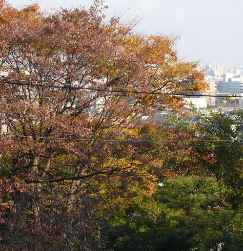 a0063364_12594678.jpg