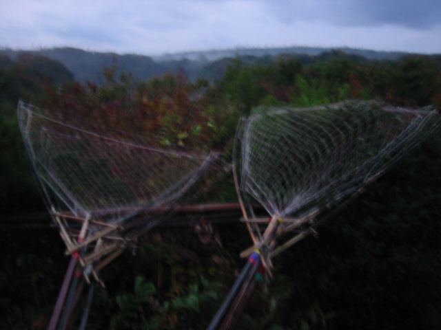 d0094868_18465729.jpg