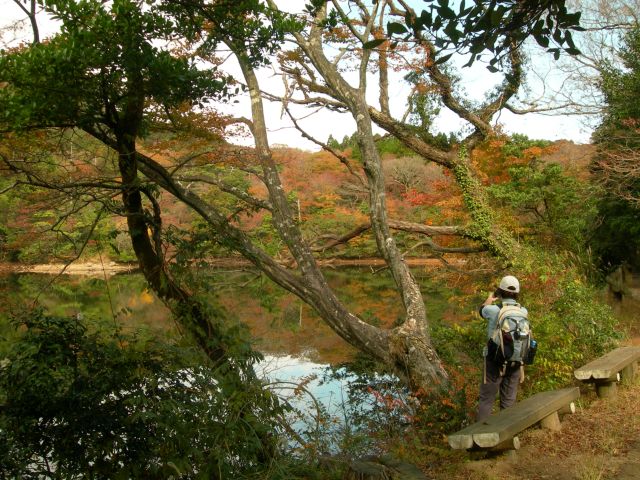 c0042869_18101898.jpg