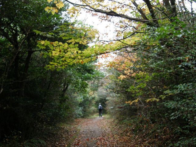 c0042869_1818917.jpg