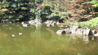 e0033570_935122.jpg