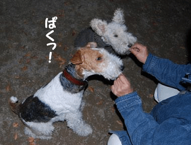 b0091373_3375423.gif
