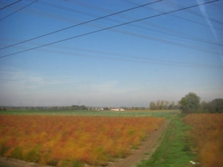 c0110074_12571047.jpg