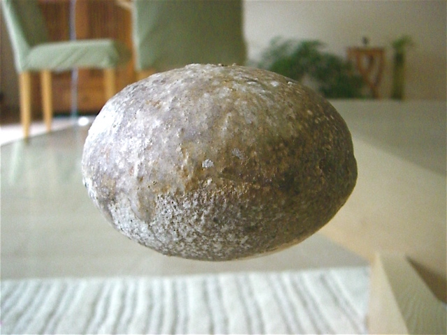 e0018777_1747448.jpg