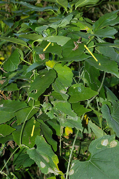 f0090680_1357097.jpg