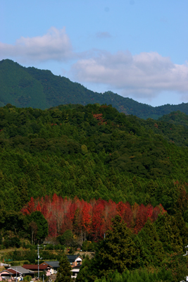 b0116083_16162638.jpg