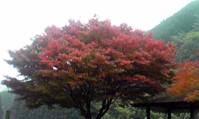 c0125283_1704544.jpg