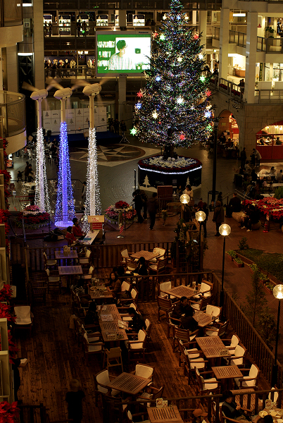 f0163583_22251073.jpg