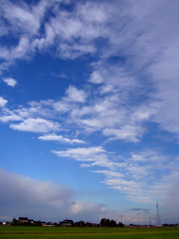 d0088788_19492673.jpg