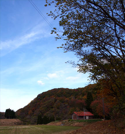 d0088788_19505682.jpg