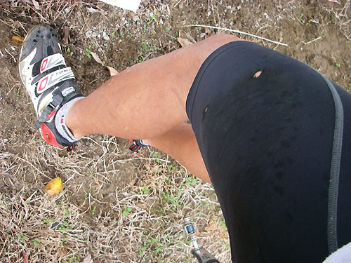e0134989_20141350.jpg