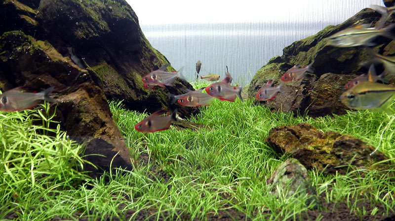 a0049090_18132471.jpg