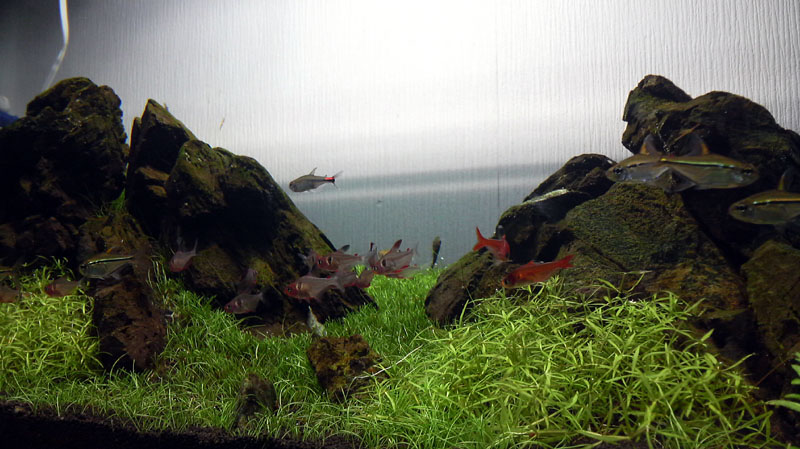 a0049090_1813439.jpg