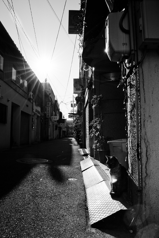 d0142891_954454.jpg