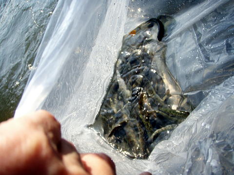 f0141392_191306.jpg