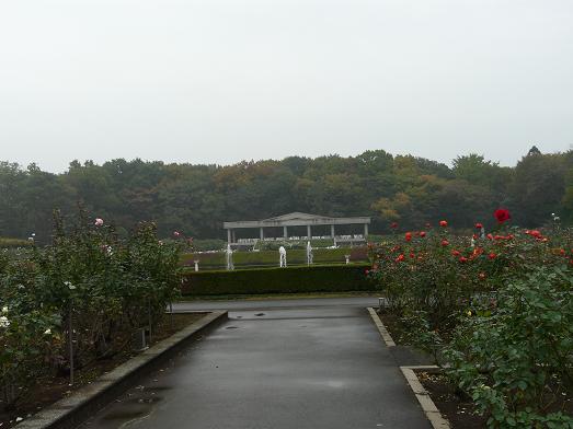 d0145794_2258388.jpg