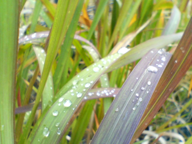 f0077595_13125299.jpg