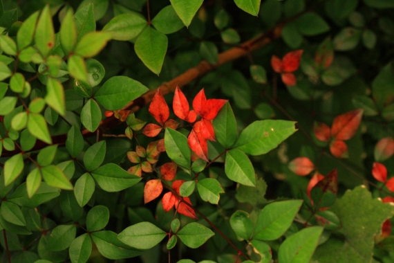 c0084097_8351873.jpg