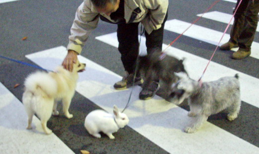 c0138198_21131123.jpg
