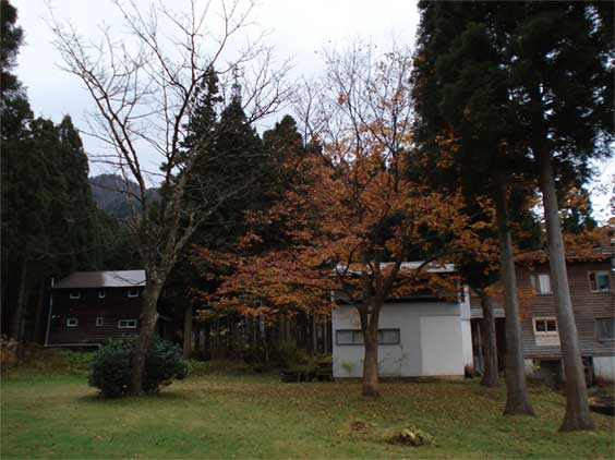 a0061599_7411139.jpg