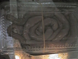 f0151099_346936.jpg