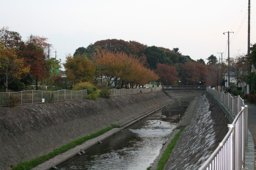 d0070702_2335223.jpg