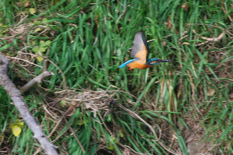 f0095702_22493291.jpg