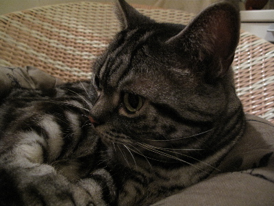a0079803_1304115.jpg