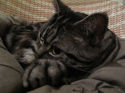 a0079803_131594.jpg