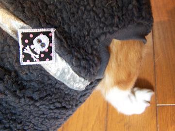 c0126703_2013977.jpg