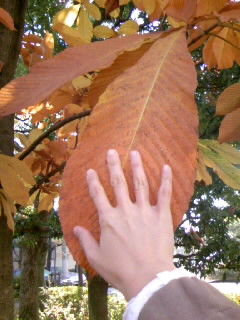c0032006_9114532.jpg