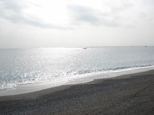 f0084806_1873193.jpg