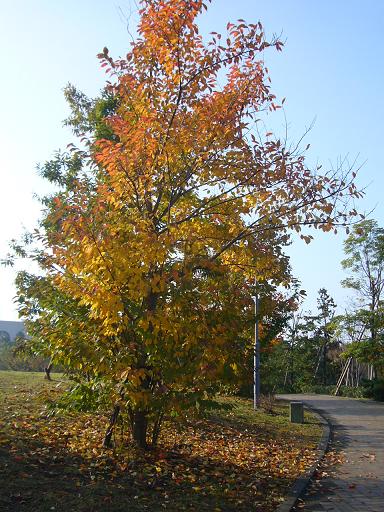 e0130008_19545725.jpg