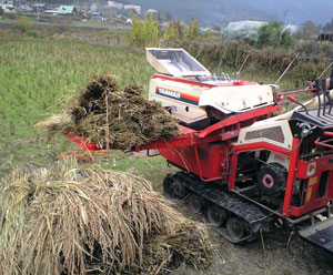 f0135908_815599.jpg