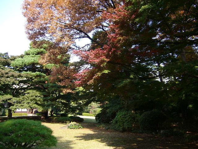b0112909_22132175.jpg