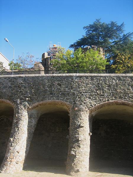 b0064411_692421.jpg