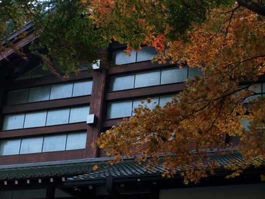 e0083212_1618635.jpg