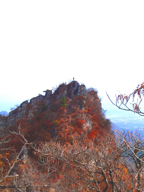 c0177814_1013036.jpg