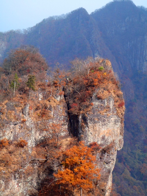 c0177814_1021130.jpg