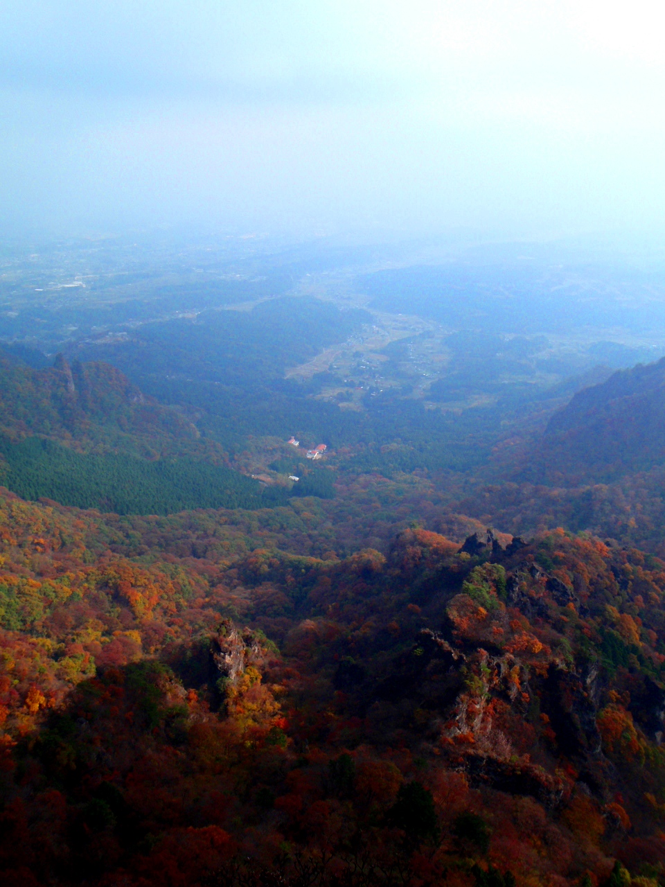 c0177814_957193.jpg