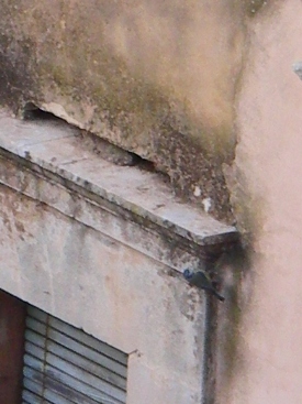 f0133814_834867.jpg