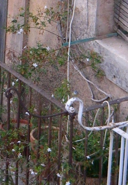f0133814_9121631.jpg