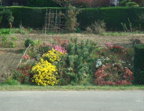 c0000718_12592756.jpg