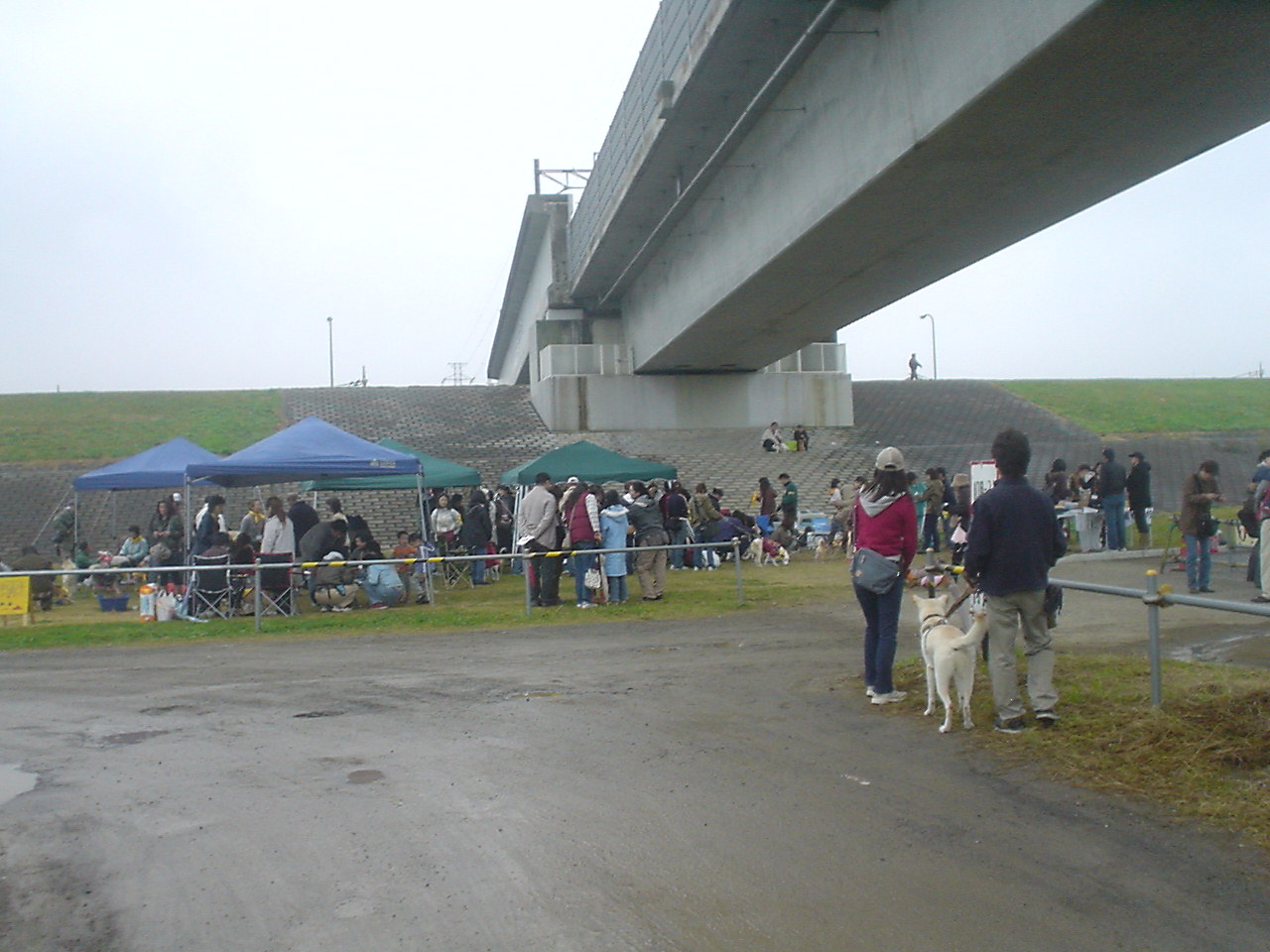 c0150520_1049079.jpg