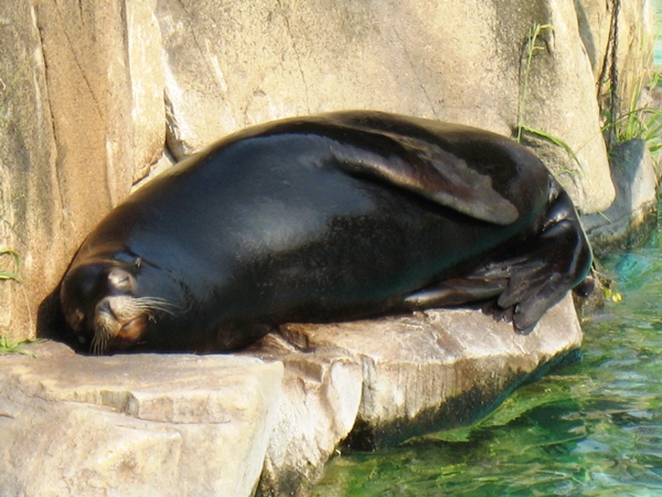 d0072521_23171664.jpg